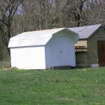 Forest-shed